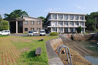 20080901senzaki5 sendozenheki01.jpg(93935 byte)