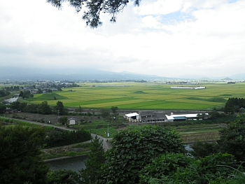 20120902-01nakadori.jpg(135548 byte)