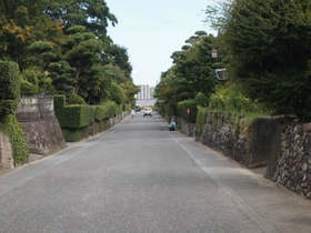 kagoshima_04.jpg