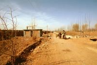 甘粛省臨沢県の農耕はもっぱら黒河に依存している。