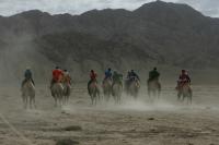 粛北県ではフタコブラクダのレースである競駝（けいだ）が人気がある。