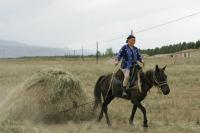 定住化に伴い、草刈りが一大仕事となる。