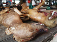 ４　犬肉祭の是非を巡り、動物愛護団体・行政機関・食肉業者・地域住民の間で激しい論争が繰り広げられている。現地において犬肉食は夏至日に限らず日常的に行われている。写真は、8月末、玉林市の青空市場で売られている新鮮な犬肉である。
