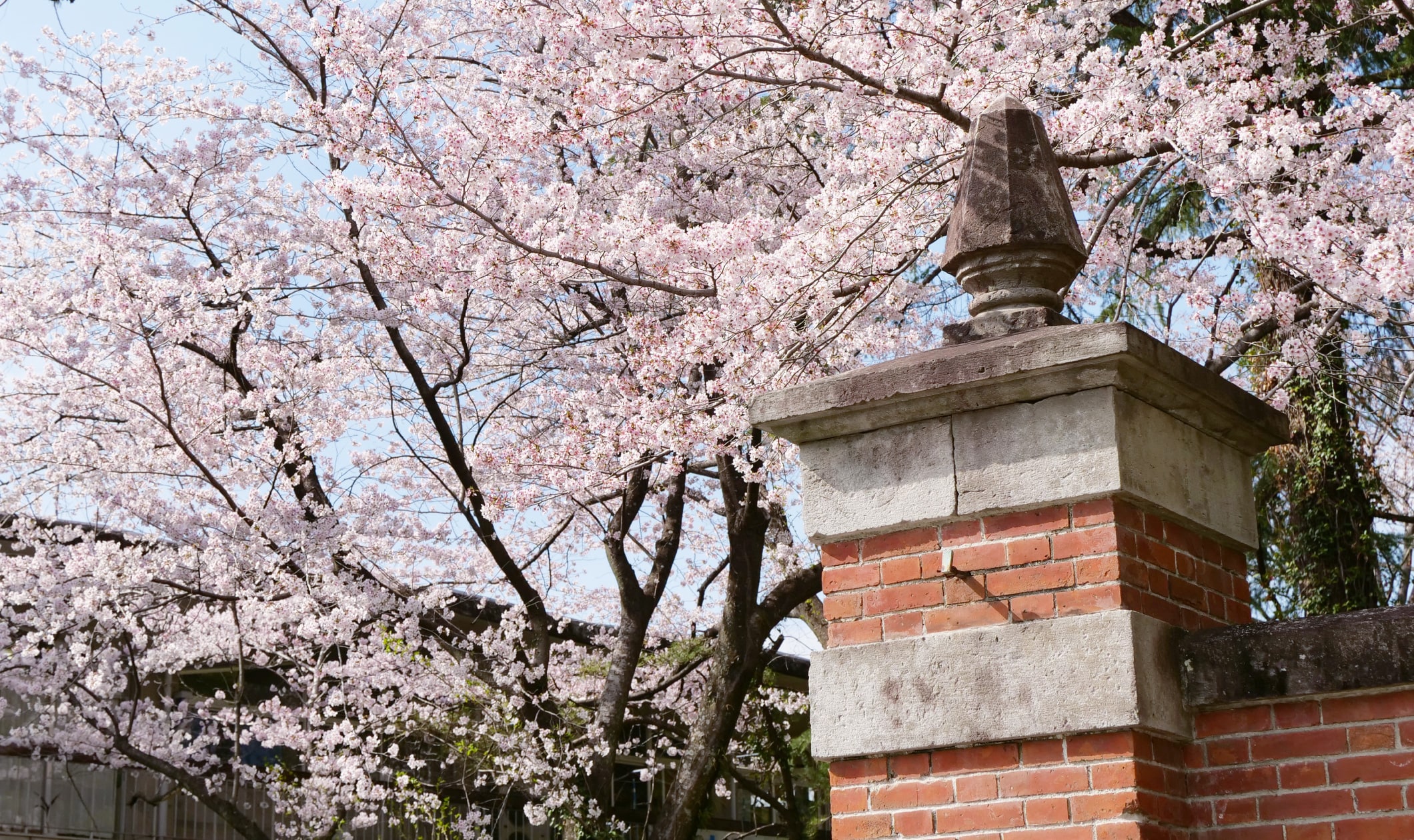 Campus view of the Faculty of Letters, Kumamoto University